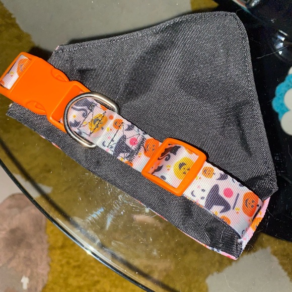 Halloween Dog Collar/Handkerchief - Picture 3 of 4